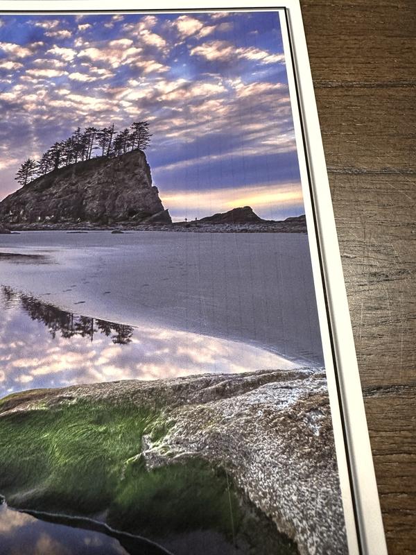 banding parallel to print head movement, visible on every non-canon paper print