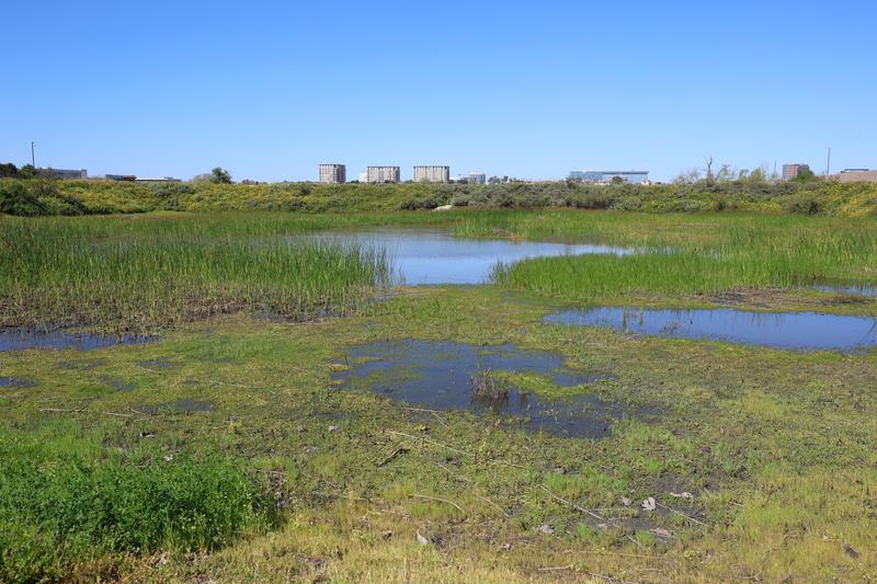 Customer carousel item 1.