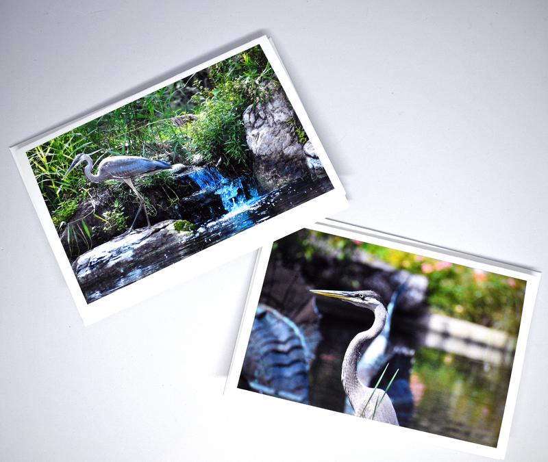 Photo from Bluebirdgreetingshop