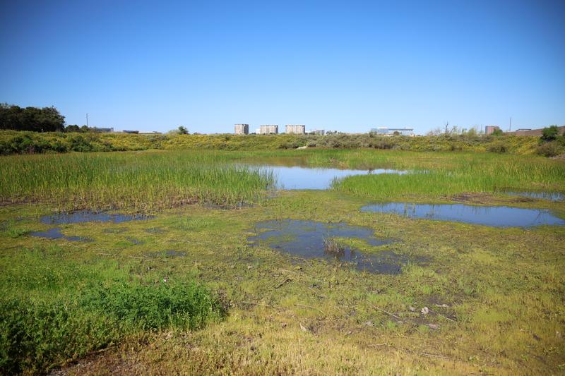 Customer carousel item 1.