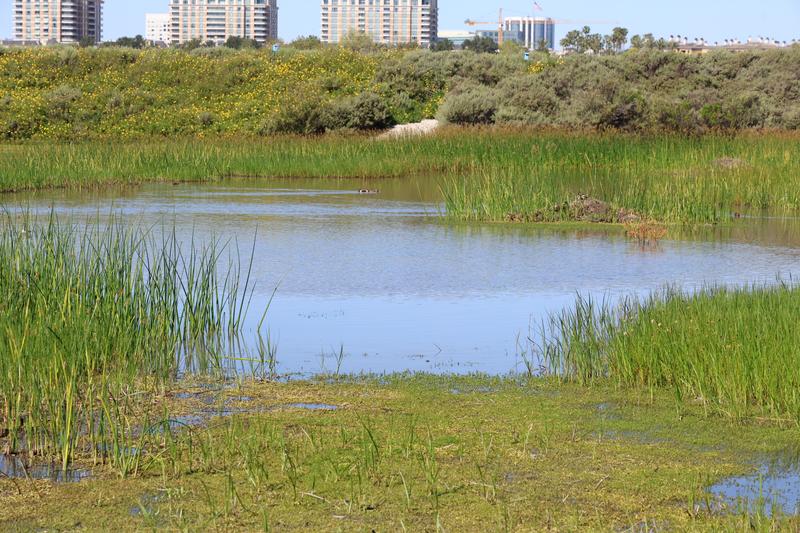 Customer carousel item 3.