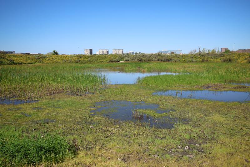 Customer carousel item 4.