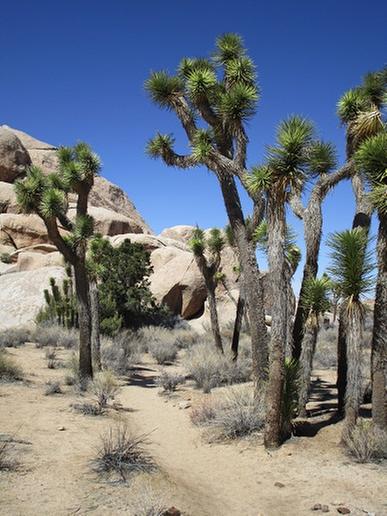 Photo reduced to 10 percent of size for posting