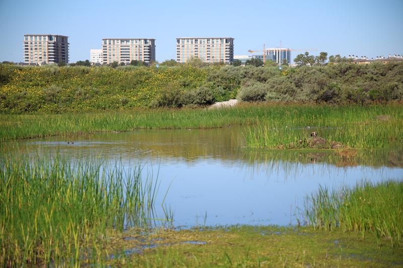 Customer carousel item 4.