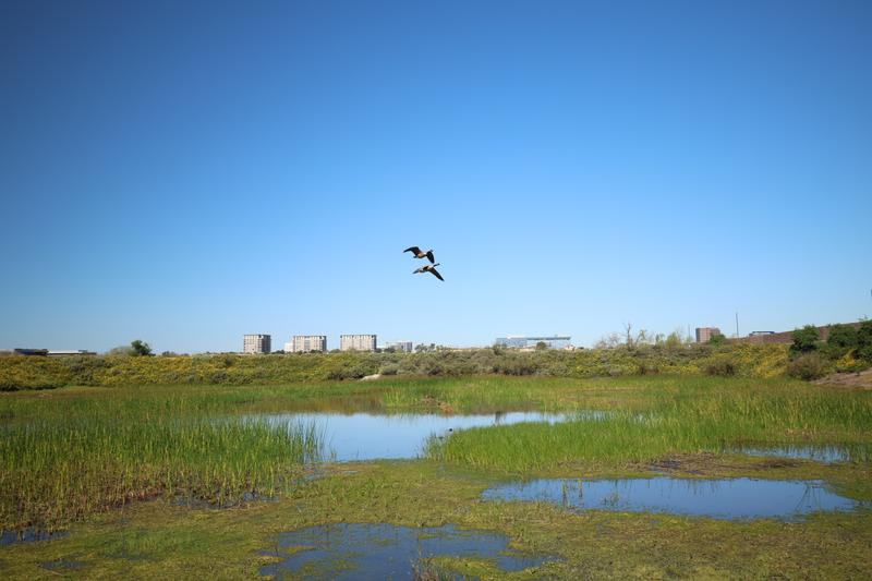 Customer carousel item 6.