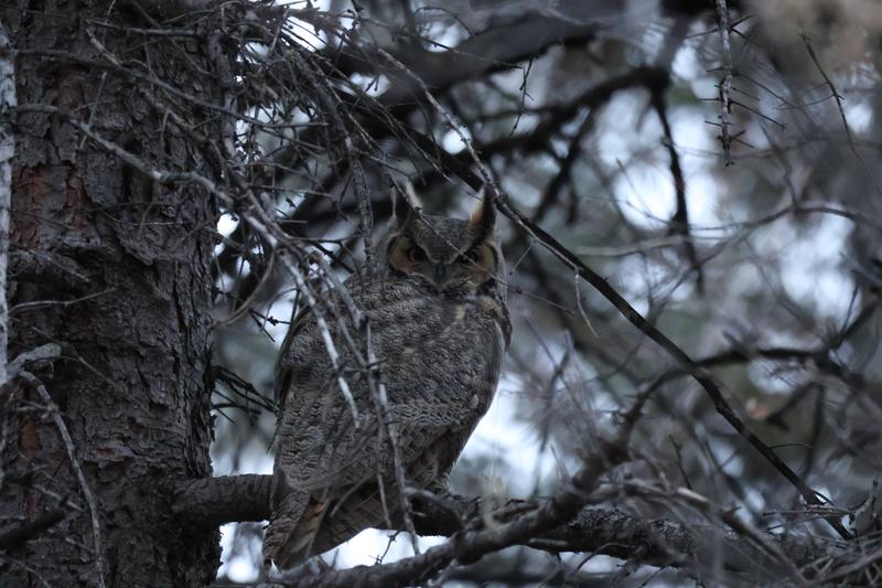 All photos are raw from the camera. No editing/cropping.