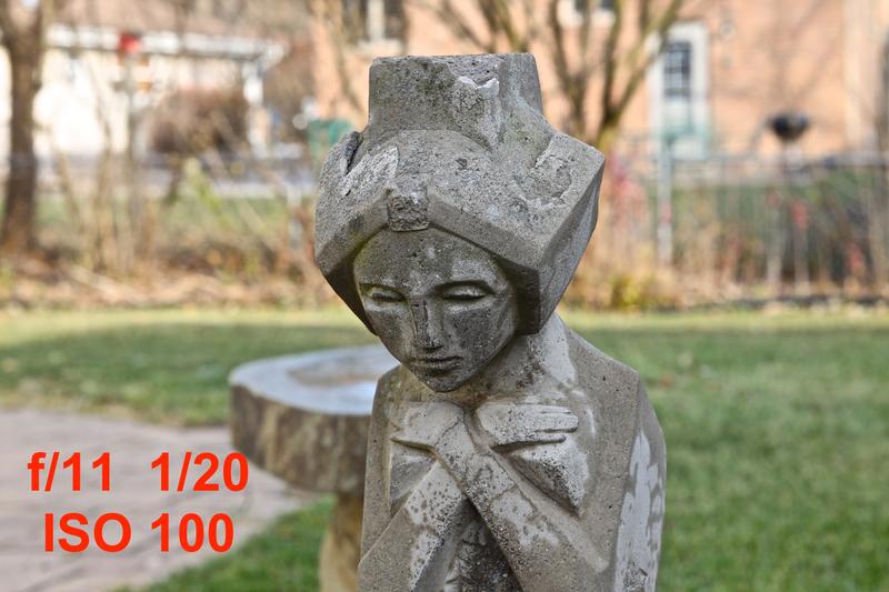 f/11 ISO 100 shady lighting