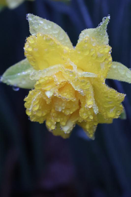 Photo from Jackie Van Ostenbridge