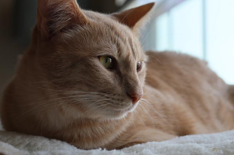 1/100s f/5 ISO 250 50 mm Canon EOS R7