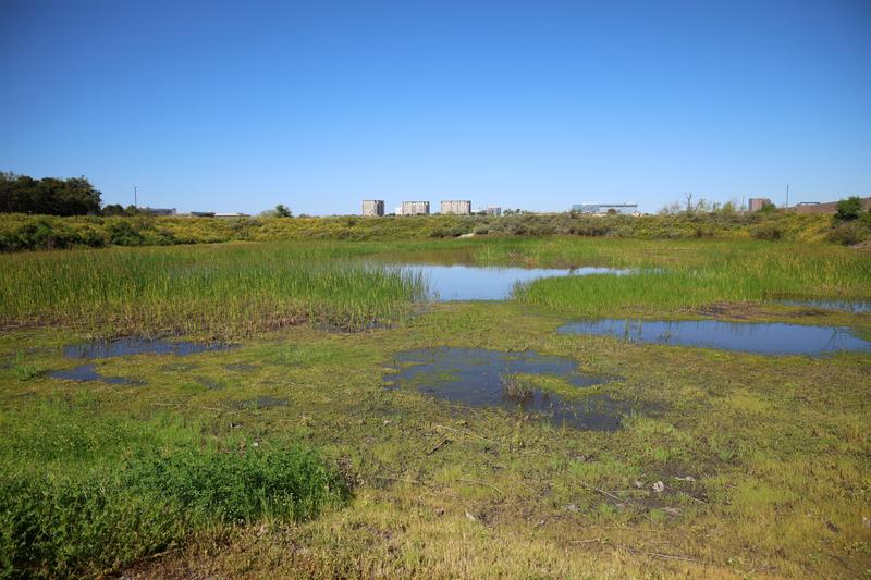 Customer carousel item 2.