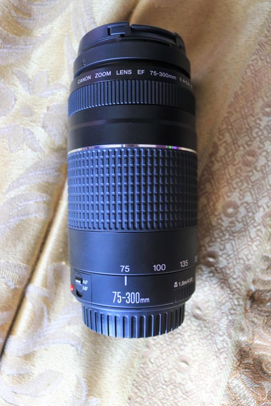 Telephoto Zoom Ef 75 300mm F 4 5 6 Iii Canon Usa