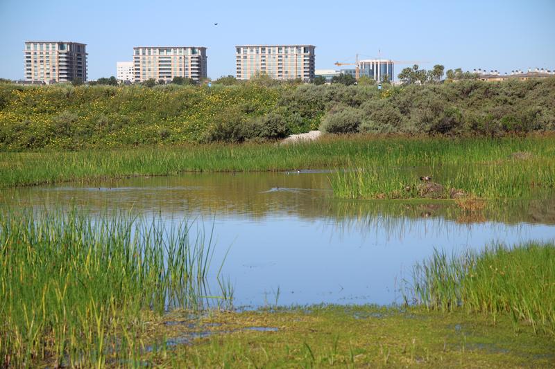 Customer carousel item 5.