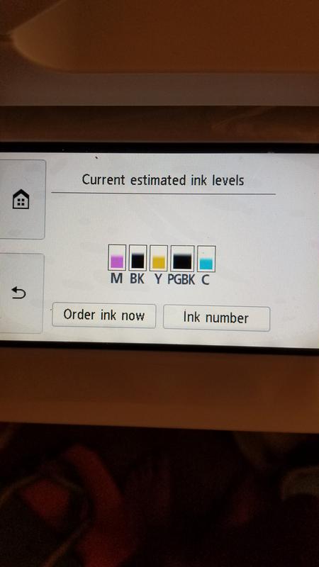 Setup ink cartridge levels