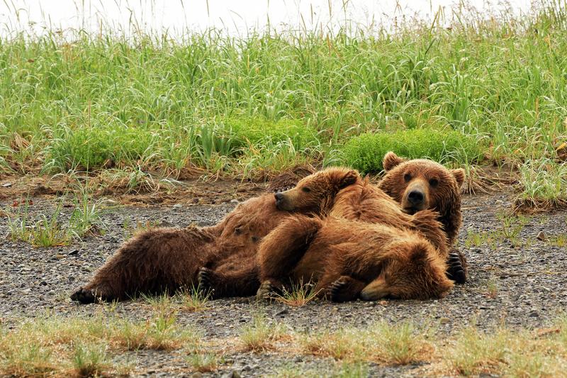 Afternoon nap interrupted