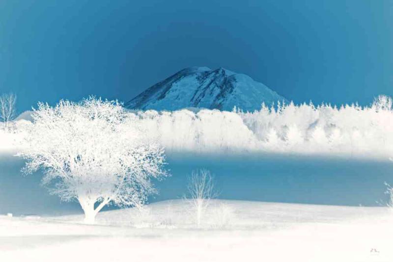 Ice cold. Mount Rainier inverted. Printed on Hahnemuhle Metallic Paper