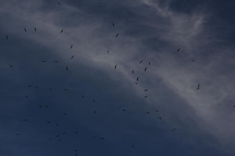Photo from External reviewer