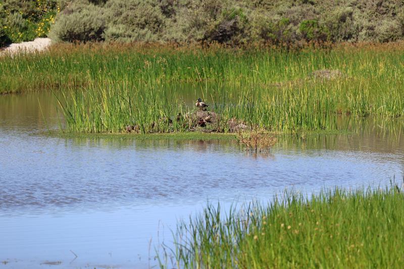 Customer carousel item 6.