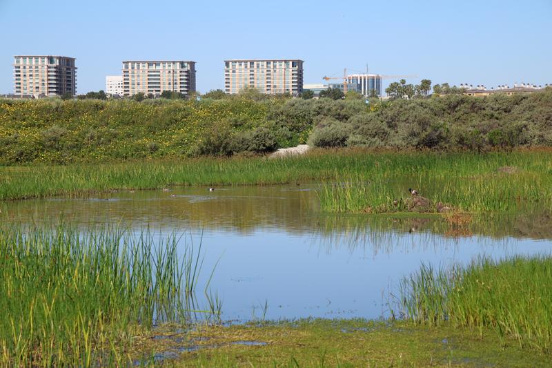 Customer carousel item 6.