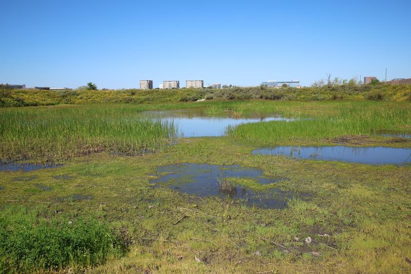 Customer carousel item 5.