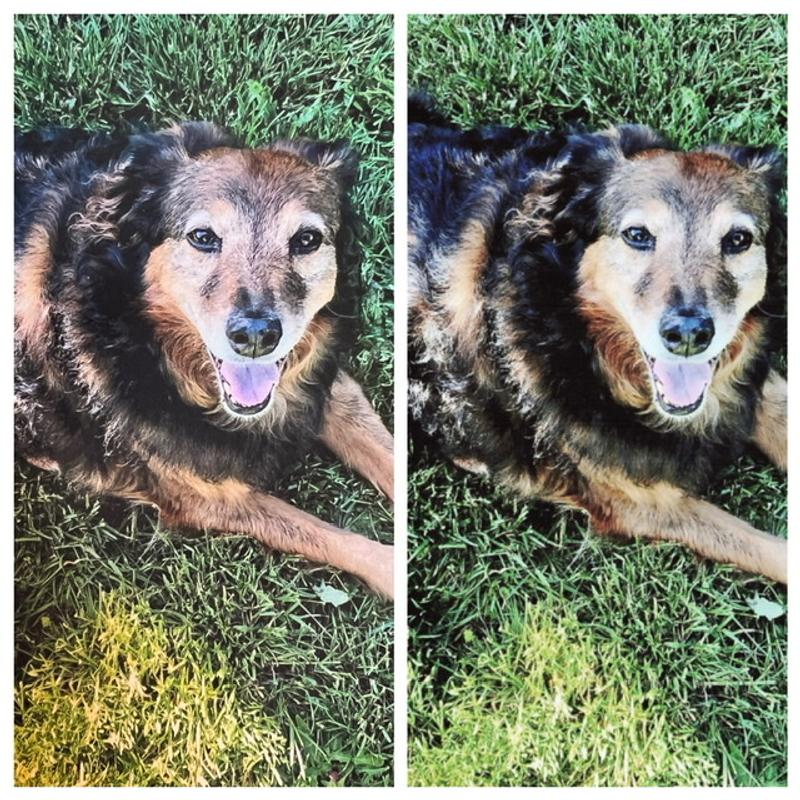 Original left; scanned right