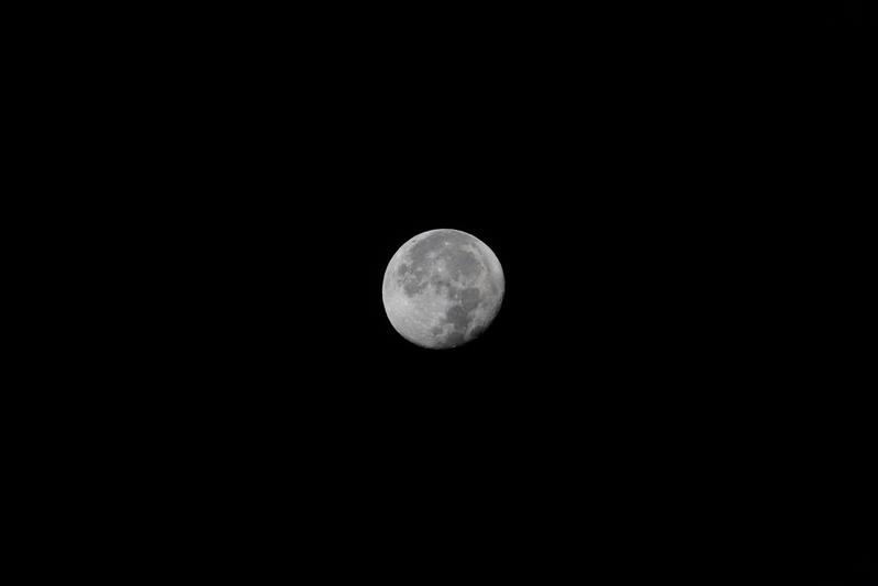 Backyard photo of moon.
