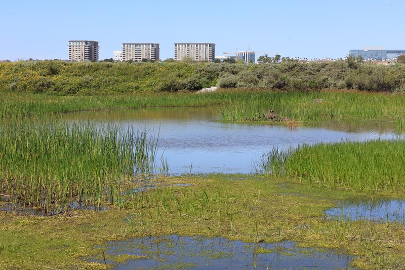 Customer carousel item 5.