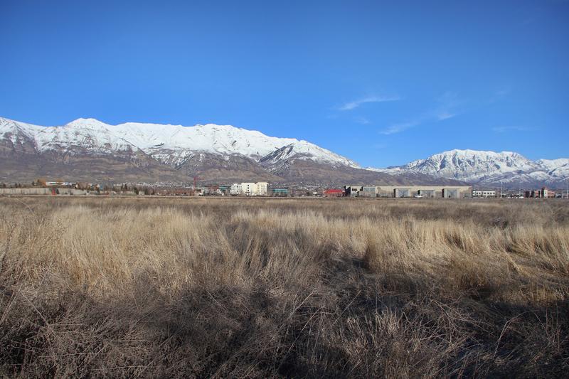 Photo from Wndml01