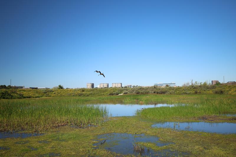 Customer carousel item 1.