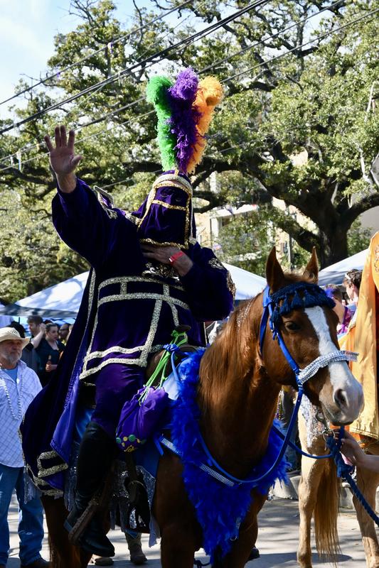 Mardi Gras Masked Rider
