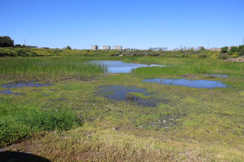 Customer carousel item 2.