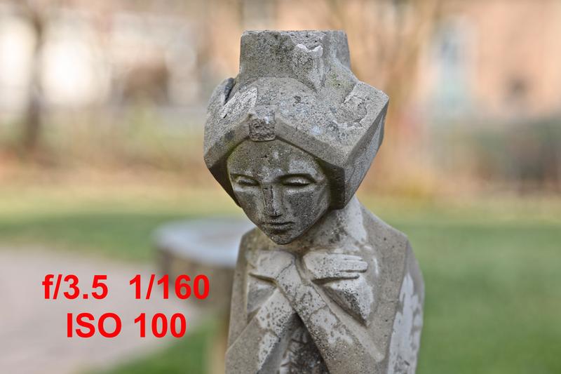 f/3.5 ISO 100 shady lighting