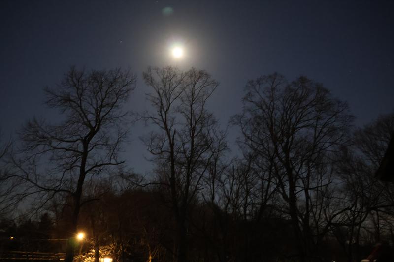 Photo from Jackie Van Ostenbridge