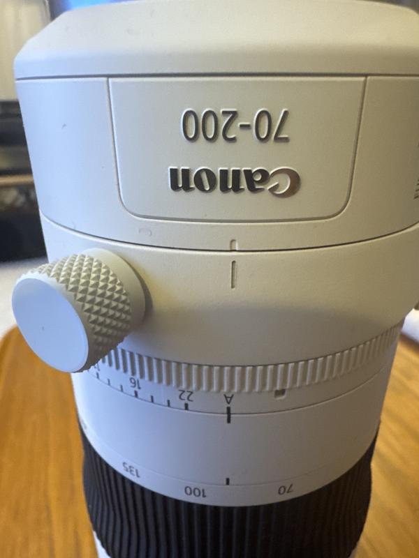 RF70-200mm F2.8 L IS USM Z | Canon Canada Shop