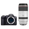 CANON RF 100-500MM f/4.5-7.1 L IS USM