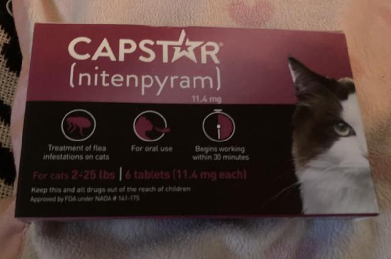 Capstar Fast Acting Flea Tablets for Cats 2 25 lbs 6 ct