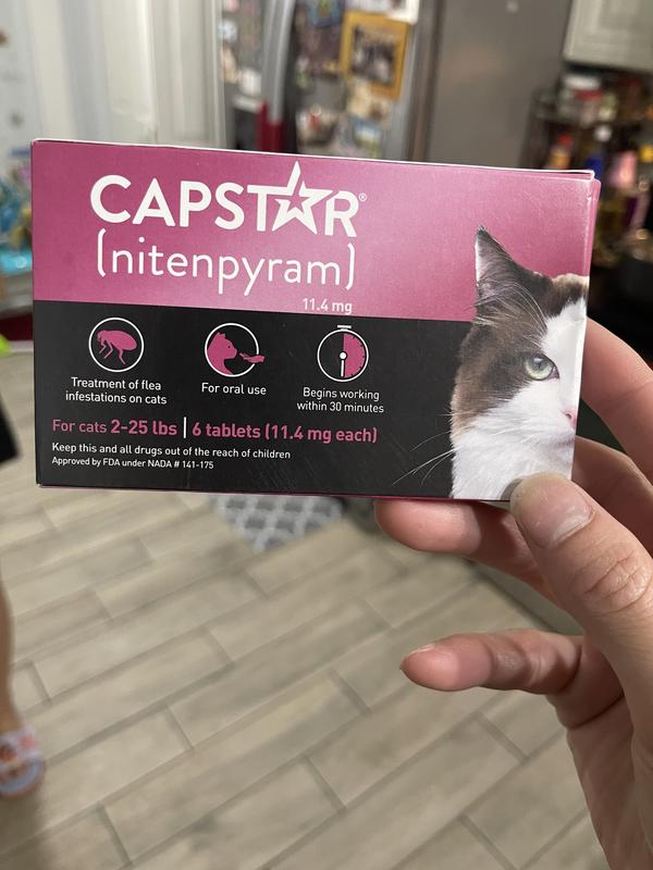 Capstar for feral cats hotsell