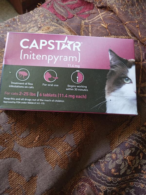 Buy capstar for cats best sale