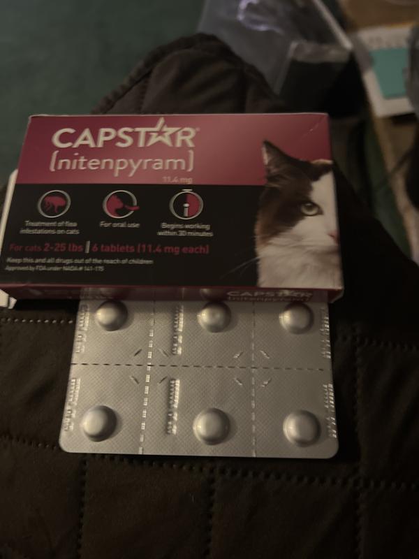 Capstar for feral cats best sale