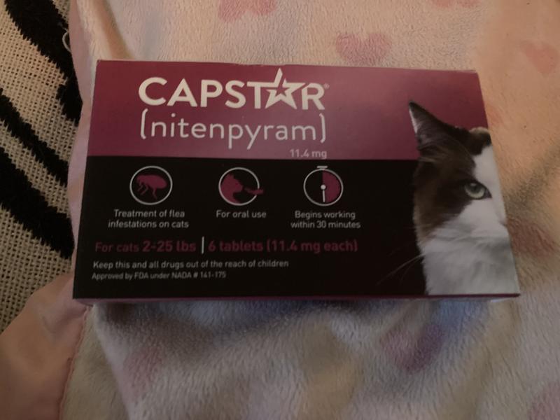 CAPSTAR nitenpyram Oral Flea Treatment for Cats 6 Doses