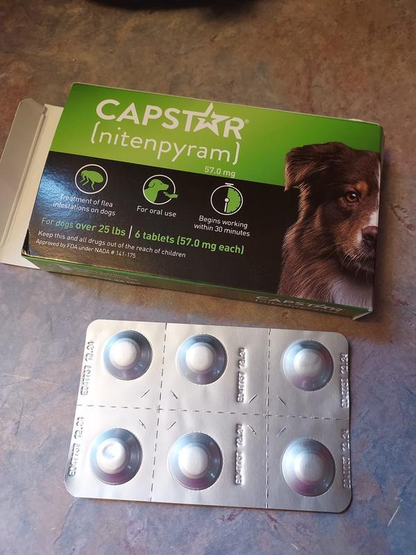 CAPSTAR® (nitenpyram) Oral Flea Treatment for Dogs - 12 Doses