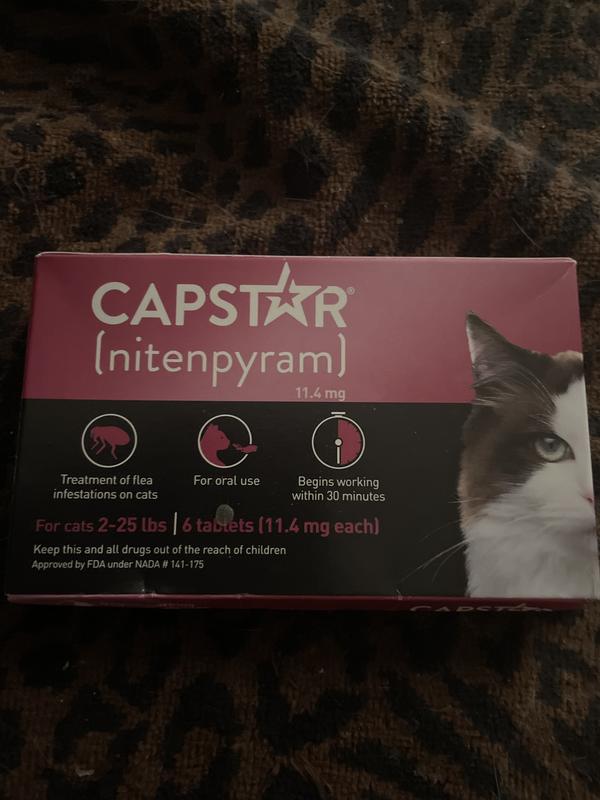 Capstar Fast Acting Flea Tablets for Cats 2 25 lbs 6 ct