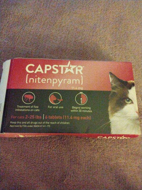 Capstar for feral cats best sale