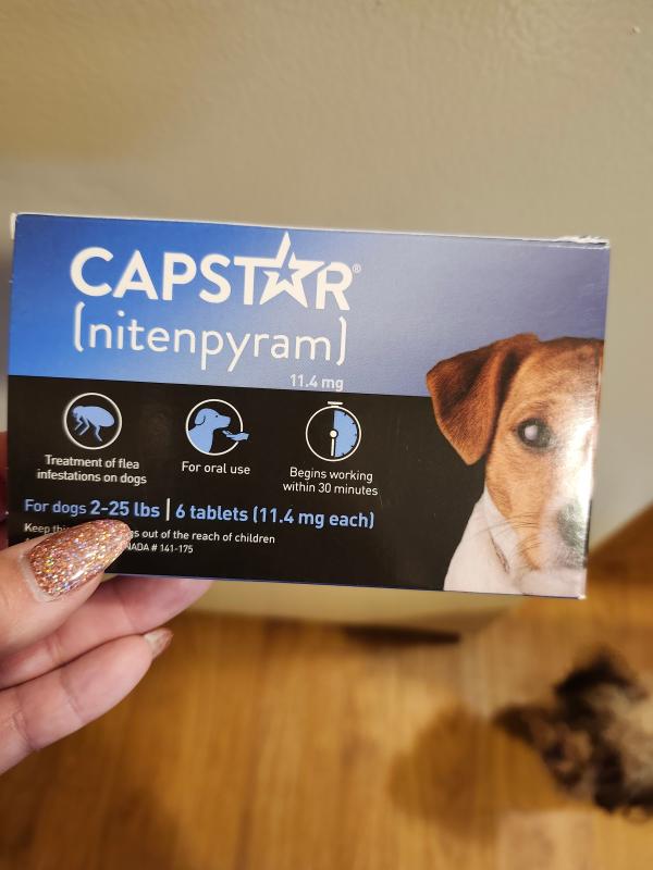 CAPSTAR nitenpyram Oral Flea Treatment for Dogs 6 Doses