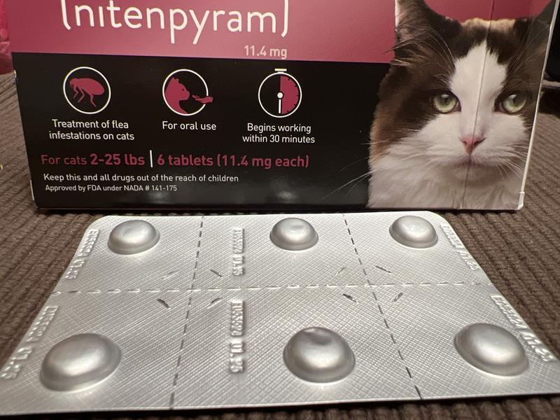 CAPSTAR nitenpyram Oral Flea Treatment for Cats 6 Doses