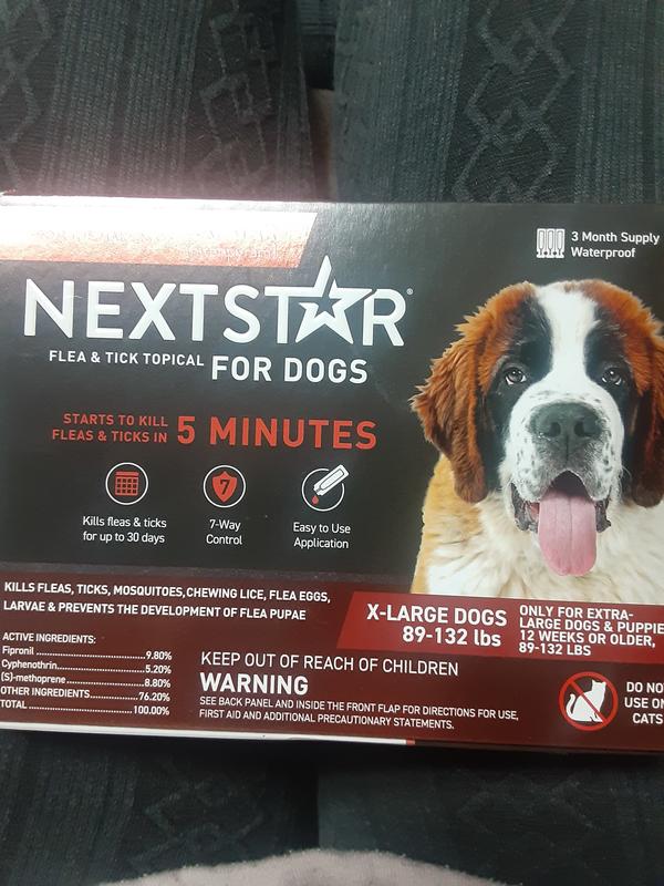 Nextstar For Dogs #Freesample #bzzagent #bzzagentcampain