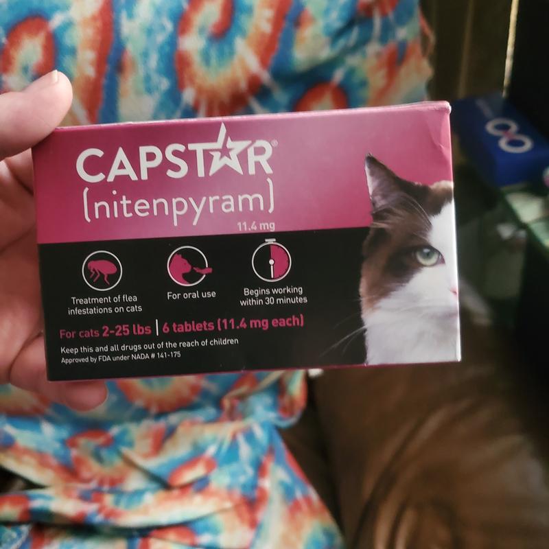 CAPSTAR nitenpyram Oral Flea Treatment for Cats 6 Doses