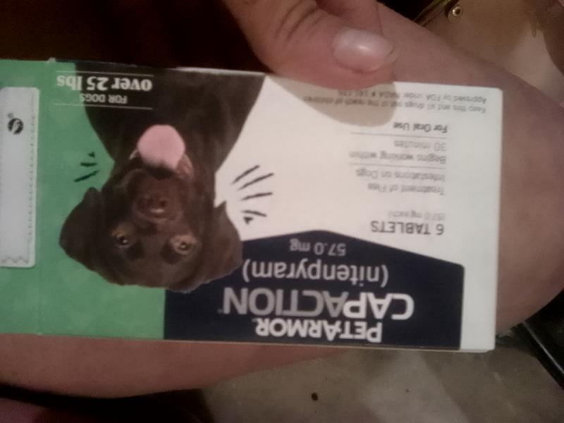 The box I bought