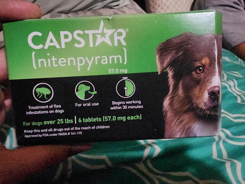 Petco capstar best sale