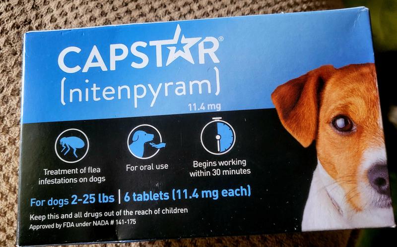 CAPSTAR nitenpyram Oral Flea Treatment for Dogs 6 Doses