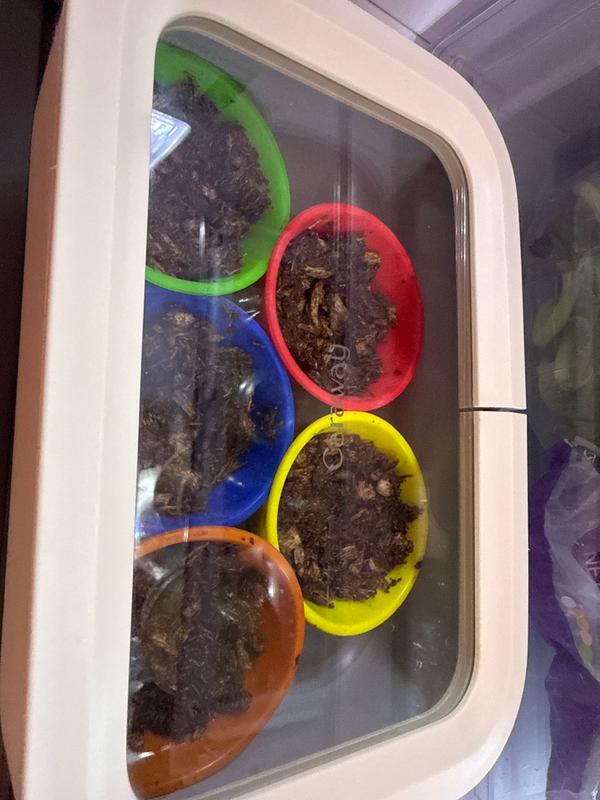 Customer carousel item 3.